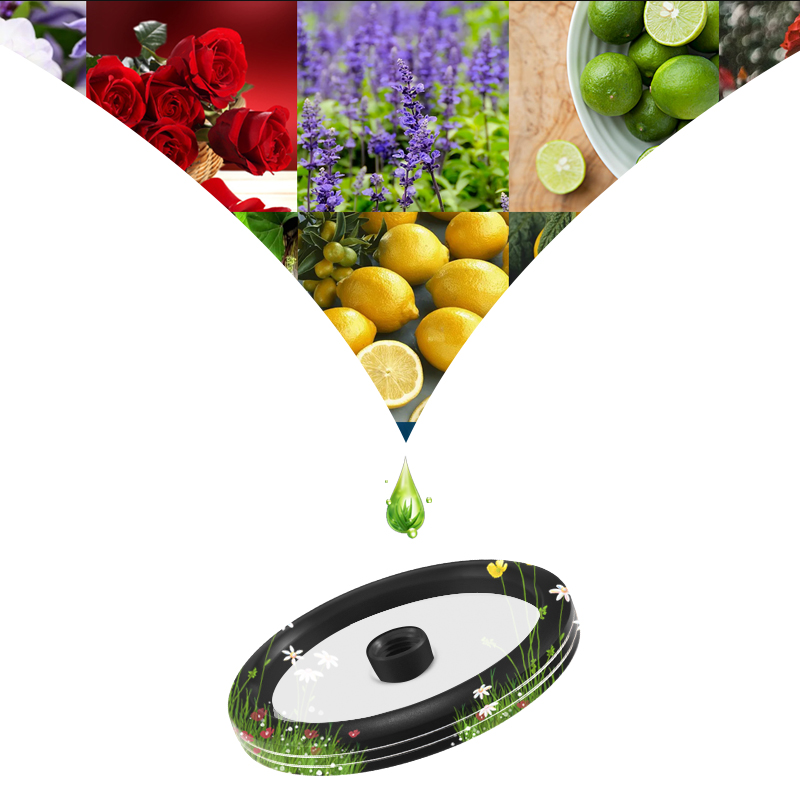 Car Styling Fragrance Diffuser - Perfume Fragrance One ulasan dan harga