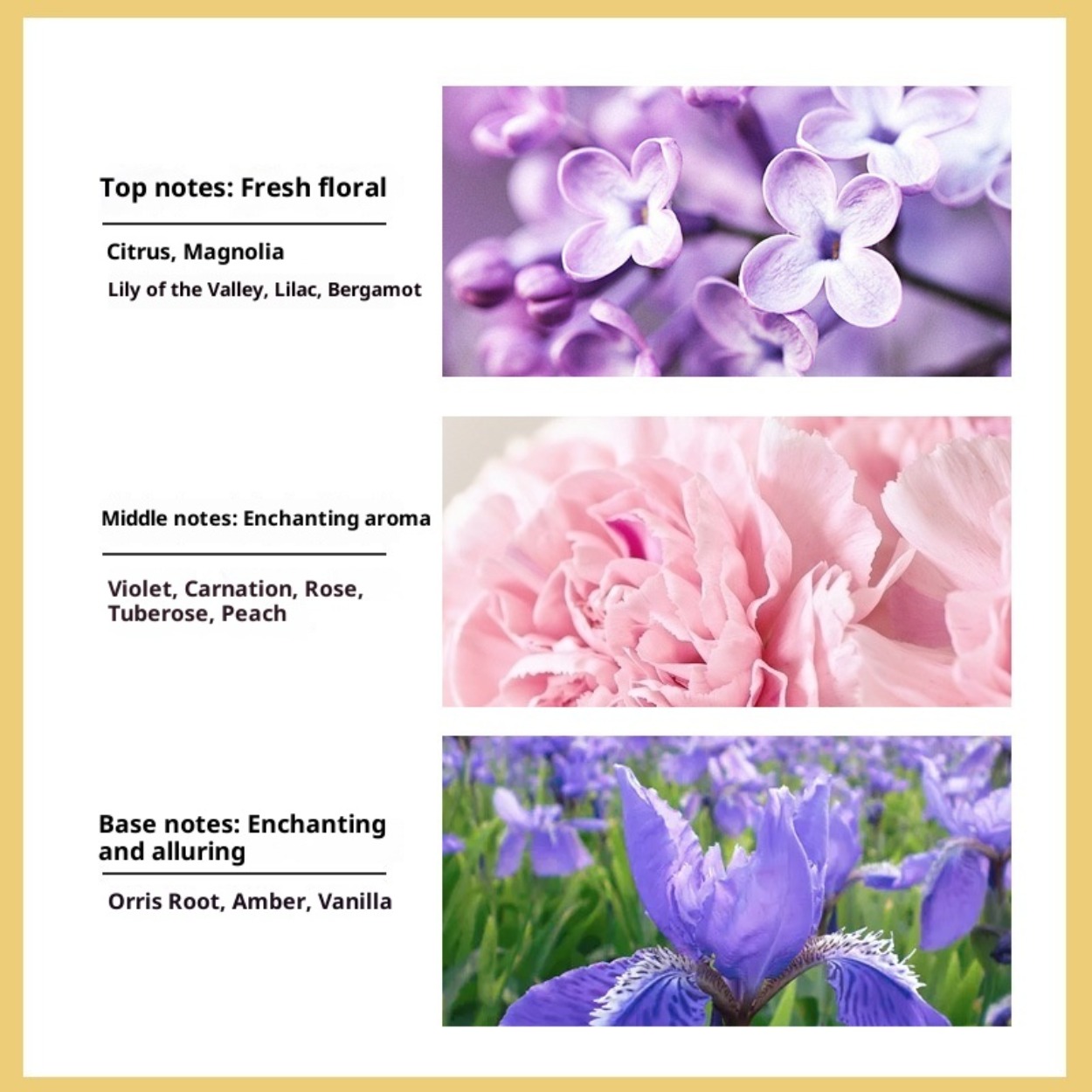 No. 5 Women's Eau de Toilette: - Perfume Fragrance Brands ulasan dan harga